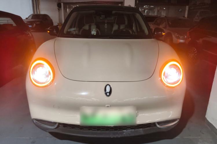 Used ORA Good Cat 2023 401 km Standard Range Luxury Version Lithium Iron Phosphate
