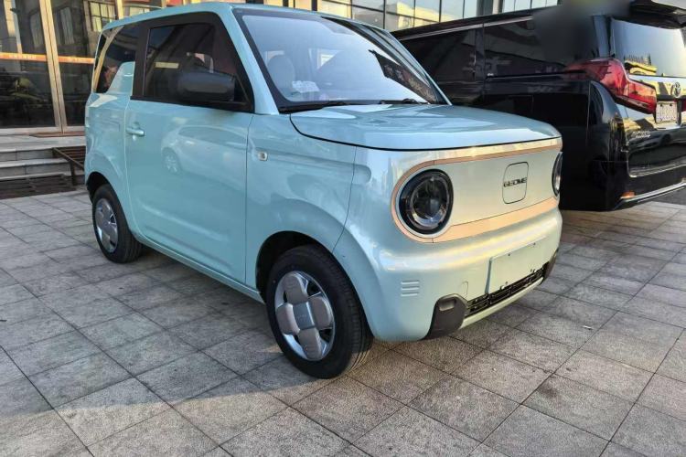 Used  Panda 2023 Panda Mini 200km Endurance Bear