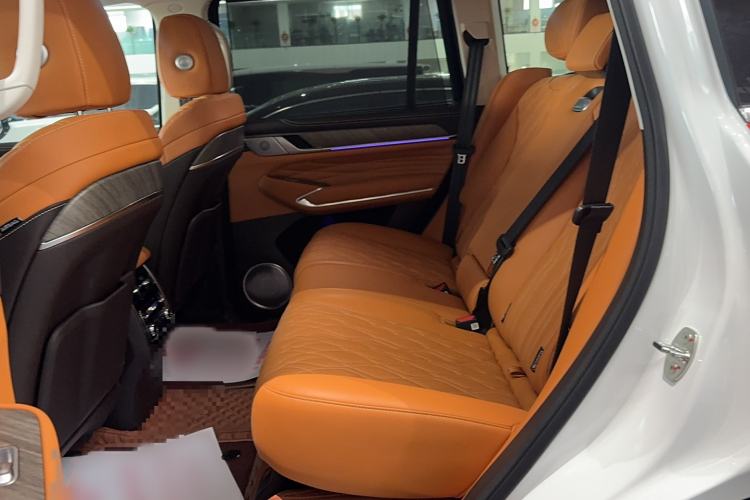 Used Tank 500 New Energy 2025 Hi4-Z
