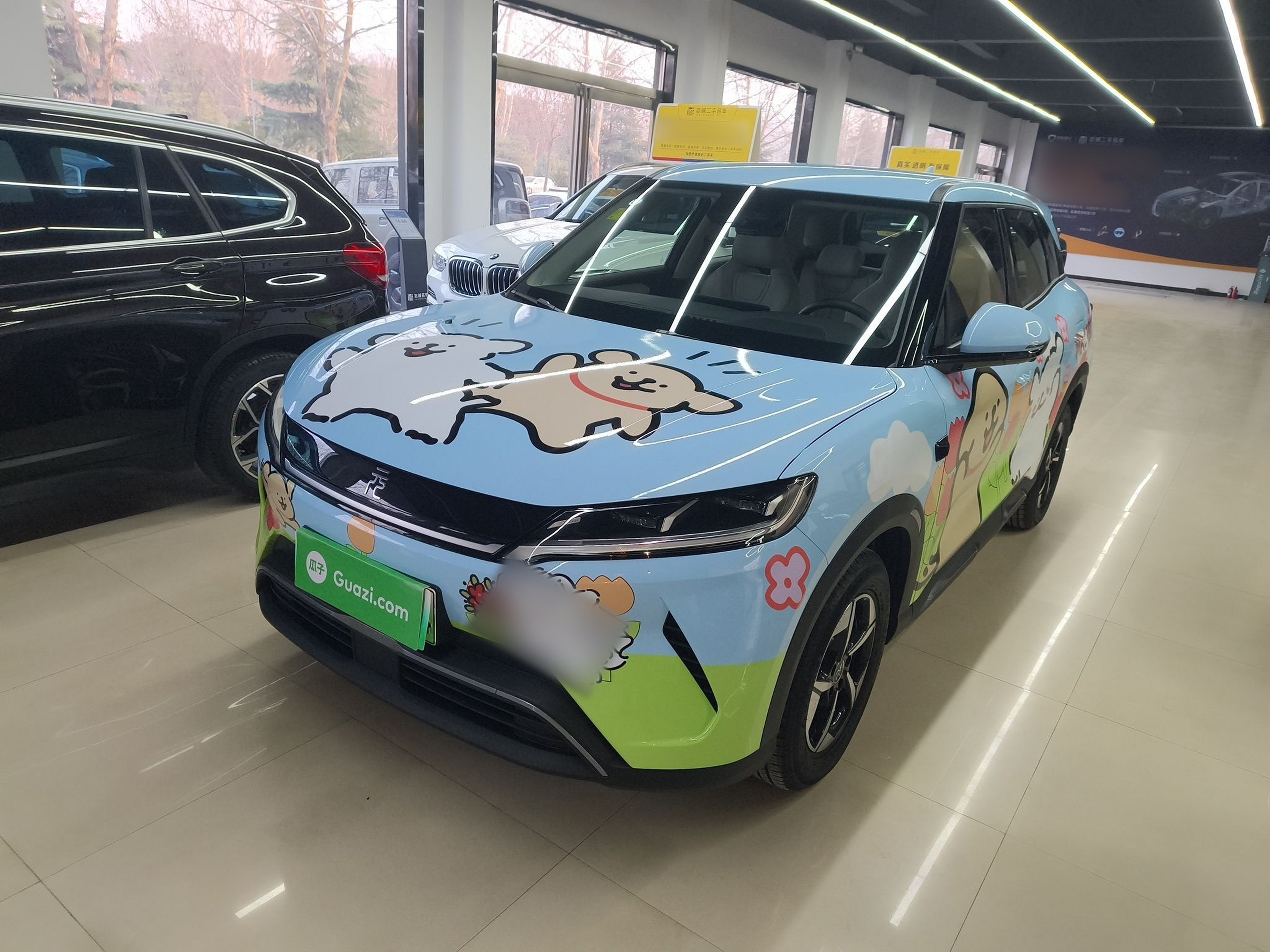 تحت مقدمة السيارة