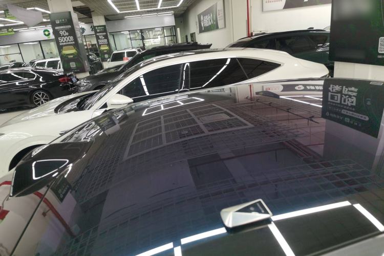 Used  06 2025 Max All-Electric Version
