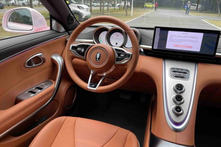 Used ORA Lightning Cat 2022 555 km Luxury Edition
