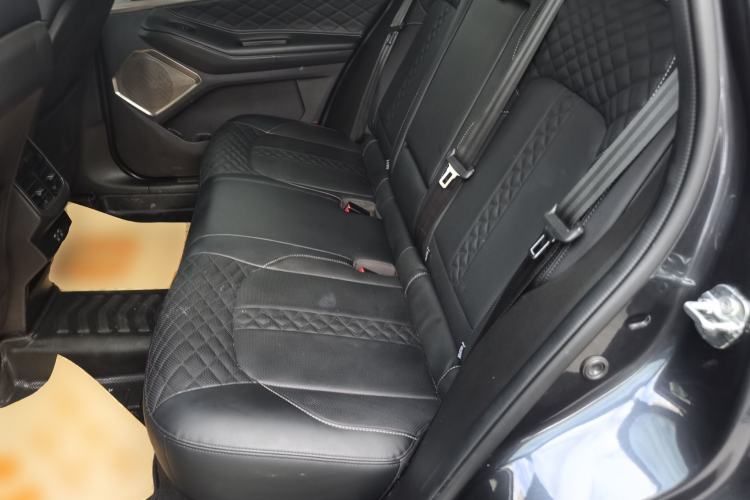 Used  Lingyun 2021 290T Two-Wheel Drive Starry Edition
