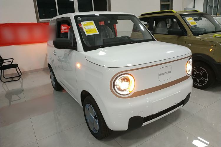 Used  Panda 2024 Panda Mini 200km Endurance Bear
