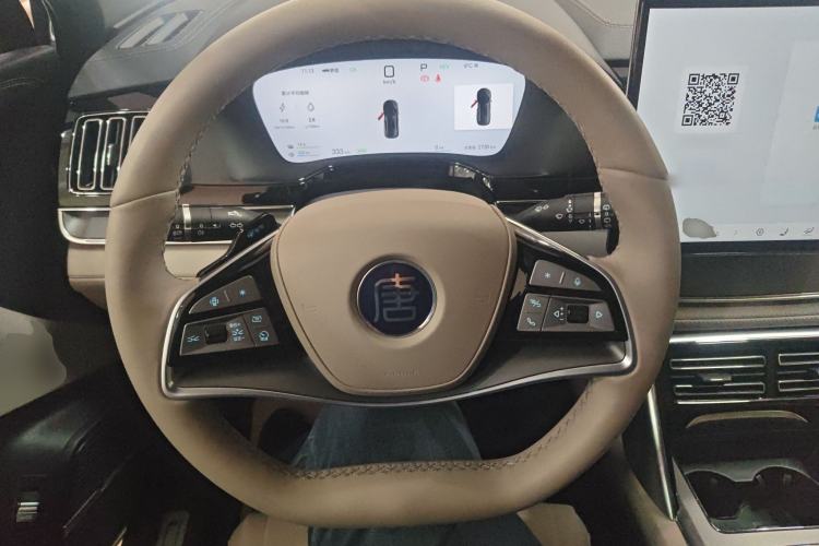 Used BYD Tang New Energy 2025 DM-i 115KM Flagship Model