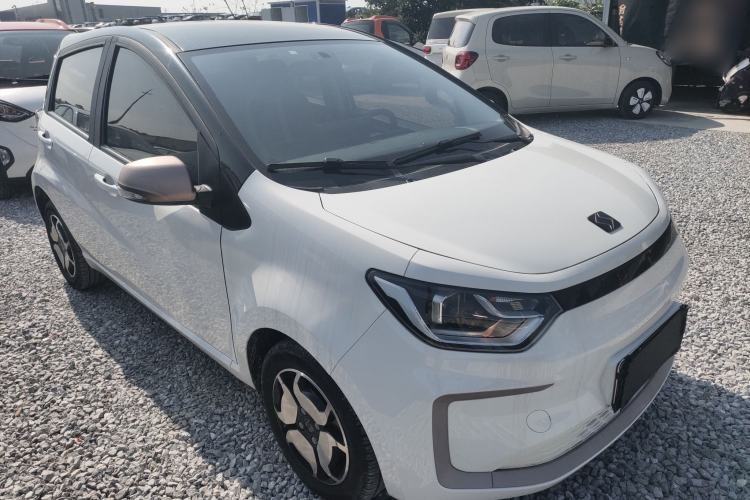 Used SOL E10X 2022 Flower Fairy Style Baby's Breath