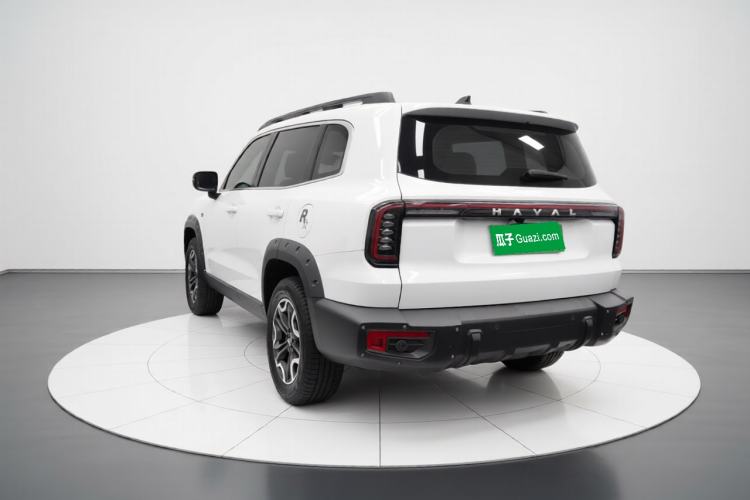 Used Haval DARGO 2024 2.0T DCT Chinese Rural Dog Edition