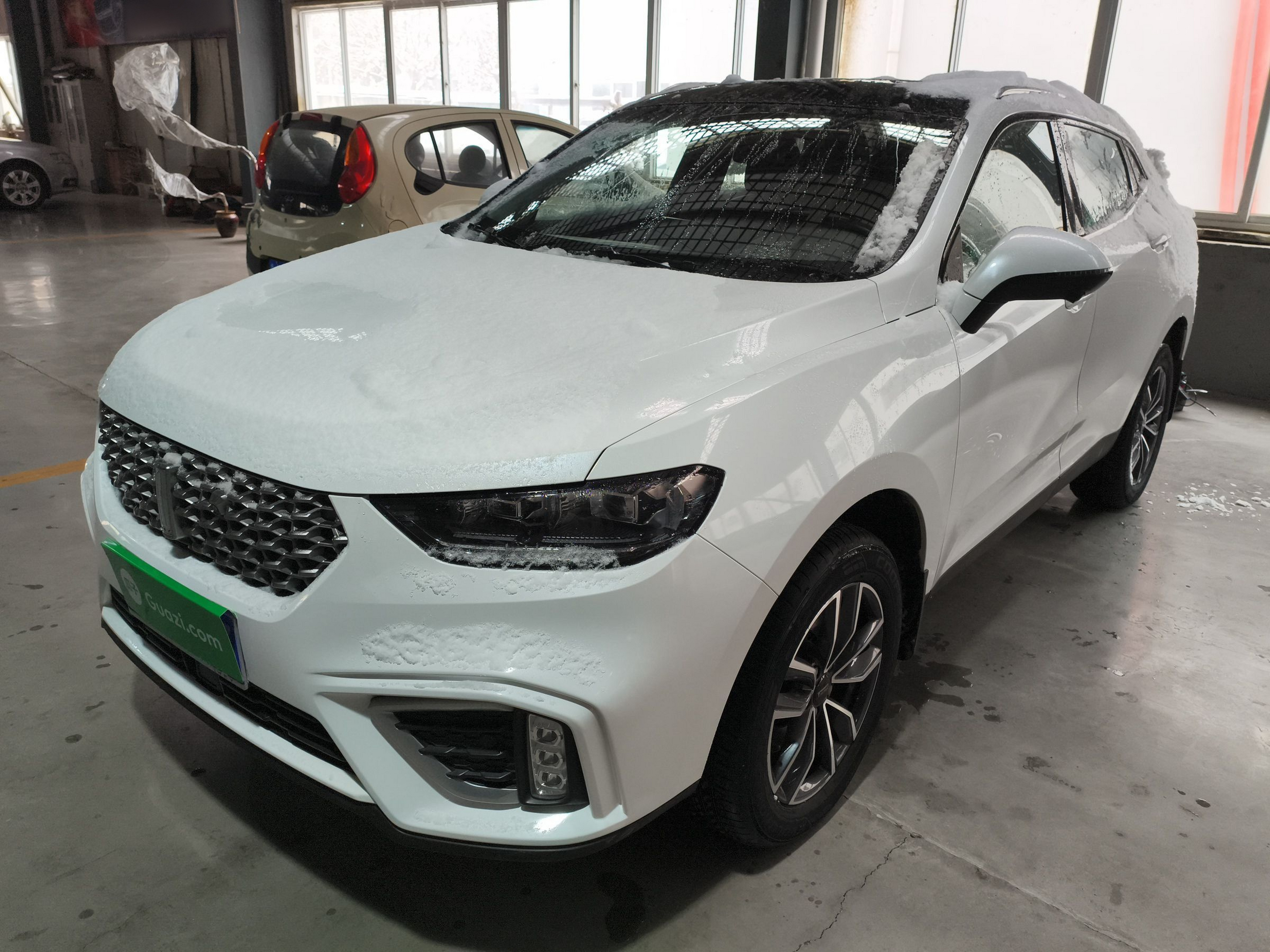 تحت مقدمة السيارة