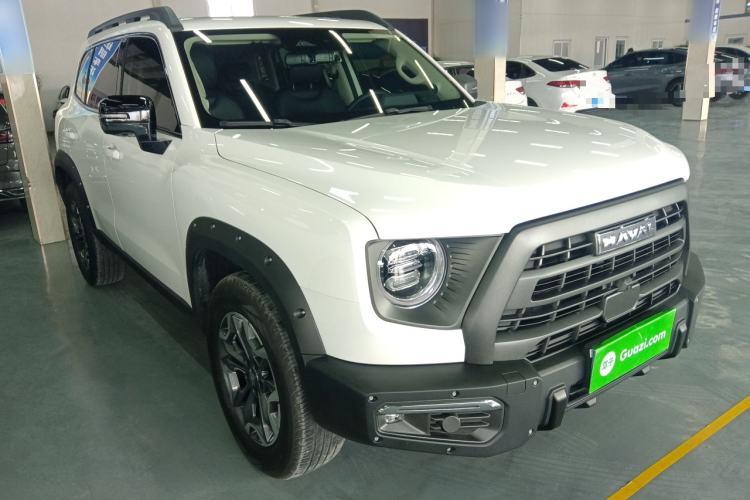 Used Haval DARGO 2024 2.0T DCT Chinese Rural Dog Edition
