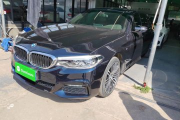 Used BMW 5 Series 2019 530Li Leading Model M Sport Package