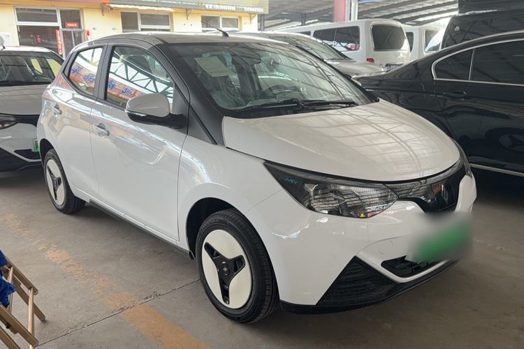 Used JMEV  2024 201 km Luxury Version
