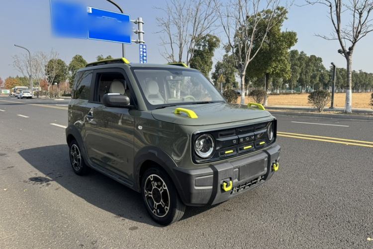 Used  Panda 2025 210km Panda Rider
