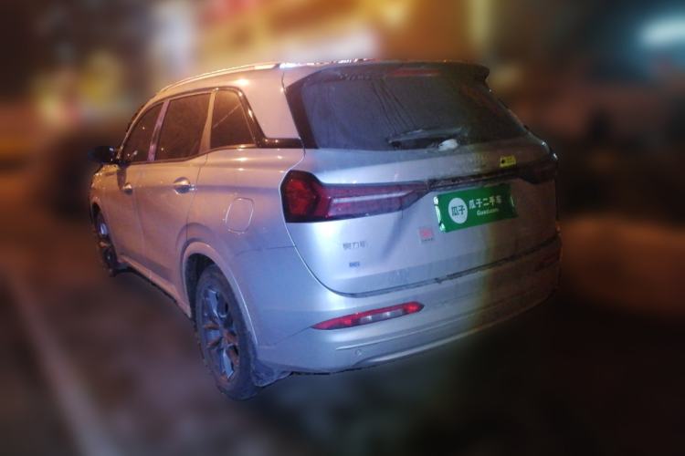 Used  E5 2024 Honor Edition 100KM Deluxe 7-Seater