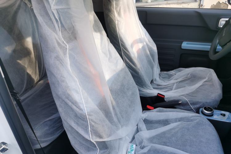 Used  Panda 2024 Panda Mini 200km Endurance Bear
