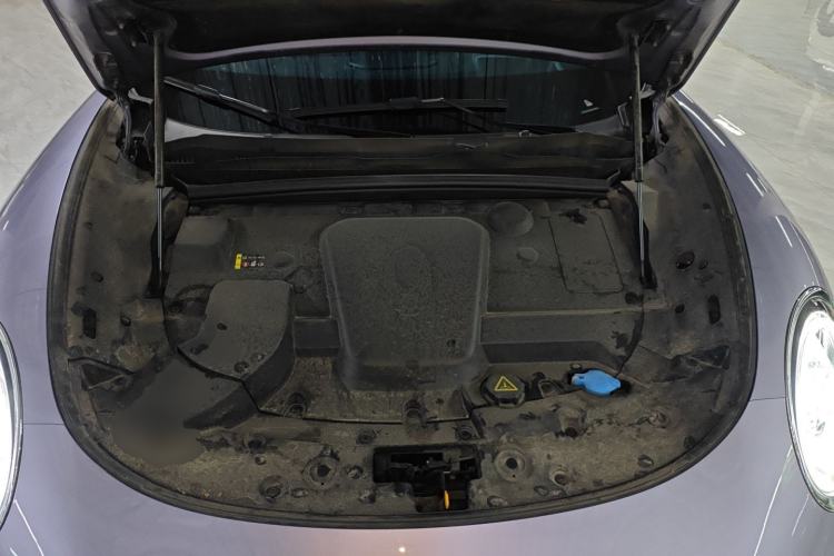 Used ORA Lightning Cat 2022 555 km Luxury Edition
