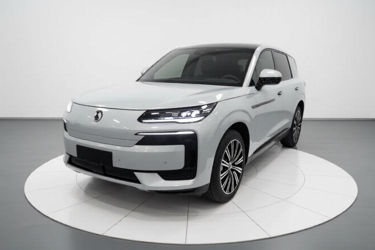 Used Denza N9 2025 Prestige Version