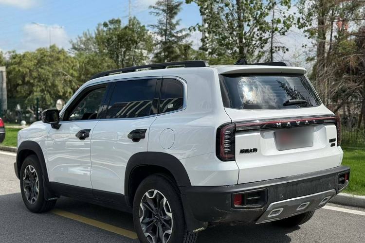 Used Haval DARGO 2024 2.0T DCT Chinese Rural Dog Edition
