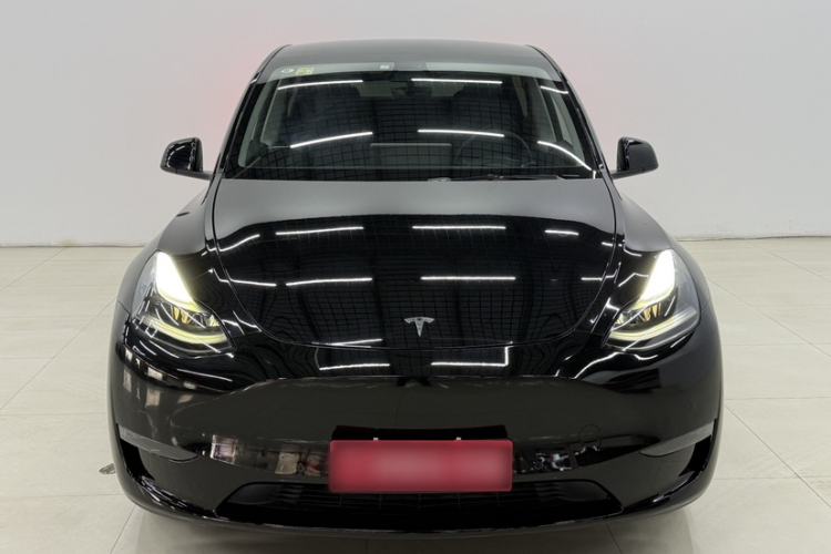 Used Tesla Model Y 2021 Standard Range Rear-Wheel Drive Version
