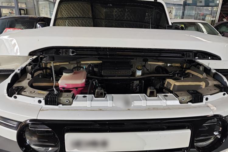 Used  V23 2025 501 Four-Wheel Drive Intelligent Driving Version
