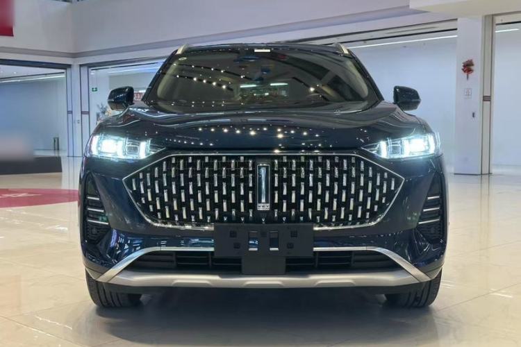 Used Wey Mocha 2021 2.0T Two-Wheel-Drive Premium Edition
