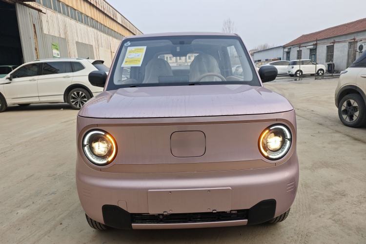 Used  Panda 2024 Panda Mini 200km Endurance Bear