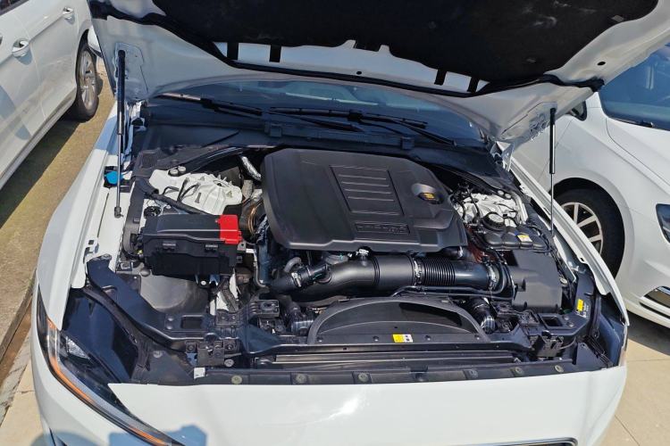 Used Jaguar XEL 2024 2.0T 250 PS R-DYNAMIC S Advanced Sport Edition
