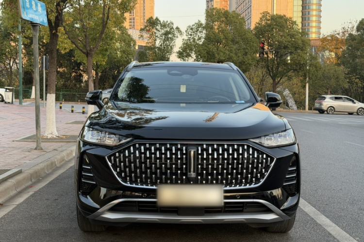 Used Wey Mocha 2021 2.0T Two-Wheel-Drive Premium Edition
