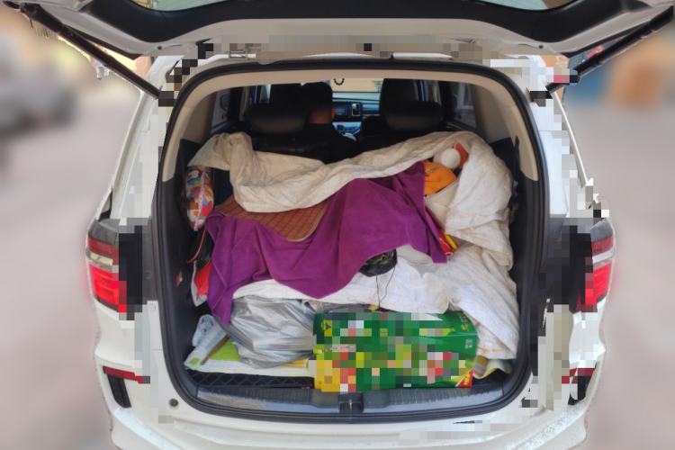 Used Honda Elysion 2016 2.4L Supreme Edition
