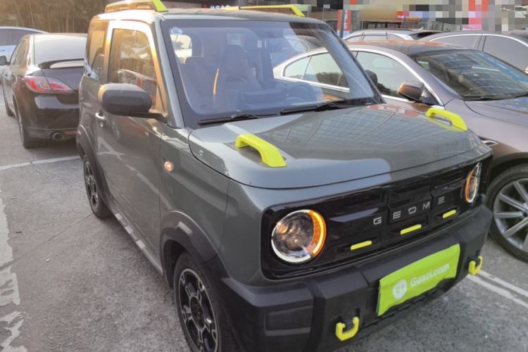 Used  Panda 2024 200km Panda Rider
