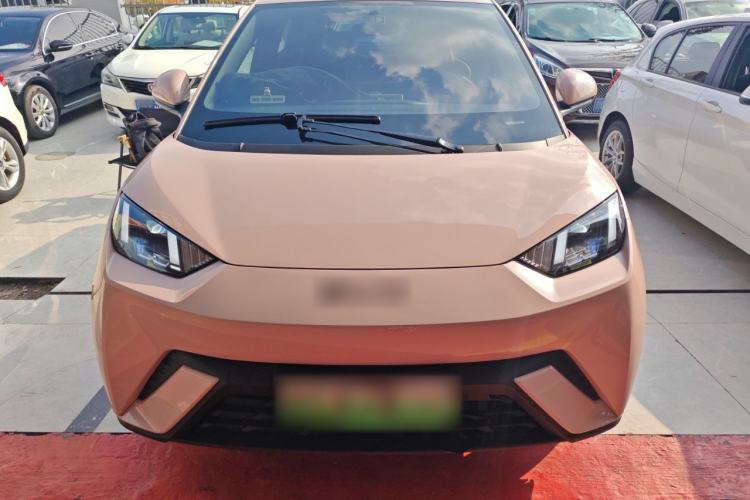 Used BYD Seagull 2024 Honor Edition 305km Freedom Version
