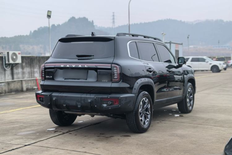 Used Haval DARGO 2024 2.0T DCT Chinese Rural Dog Edition