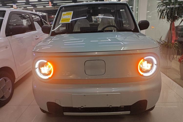 Used  Panda 2024 Panda Mini 200km Endurance Bear
