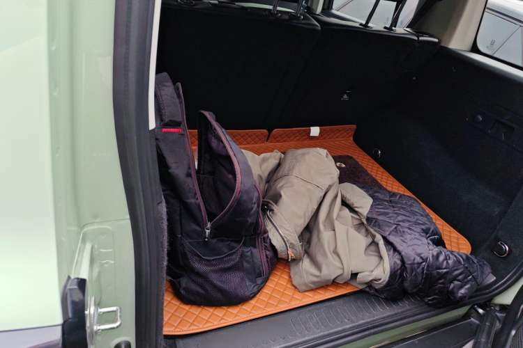 Used Tank 300 2021 City Edition 2.0T—Truly Stylish