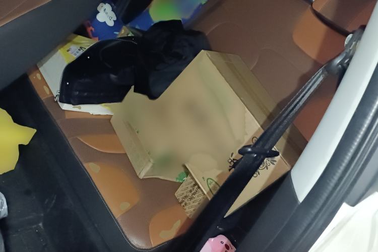 Used Chery Little Ant 2018 400 4-Seater Smart Edition