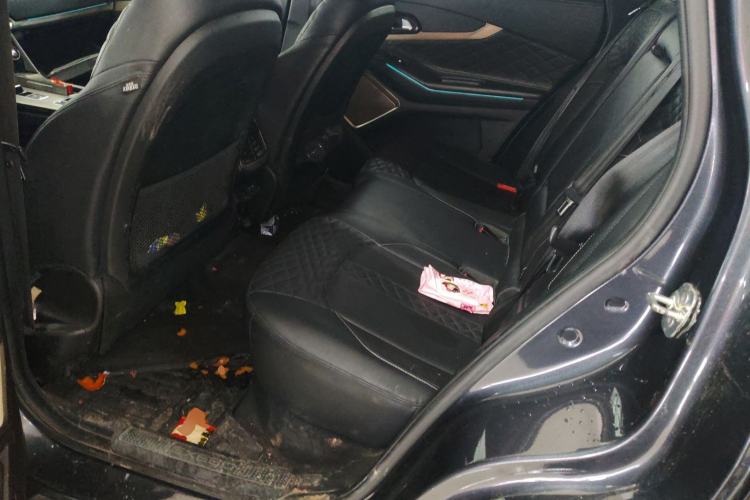 Used  Lingyun 2021 290T Two-Wheel Drive Star Edition