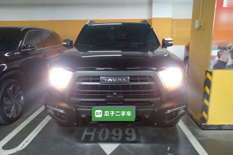 Used Haval DARGO 2024 2.0T DCT Chinese Rural Dog Edition
