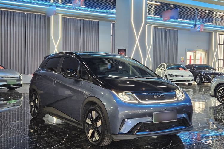 Used BYD Dolphin 2025 520km Range Knight Edition