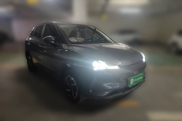 Used NETA V 2021 Long-Range Entertainment Edition Upgrade Model
