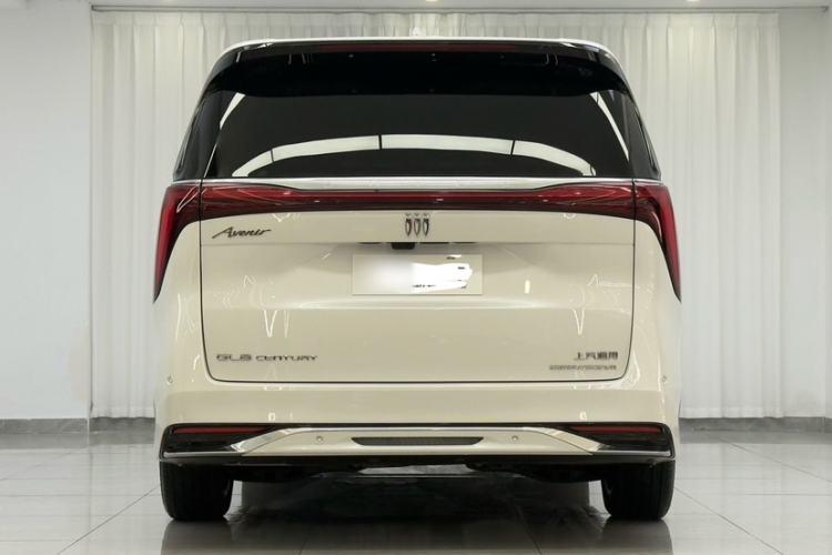 Used Buick Century 2023 2.0T Four-Seat Private Edition