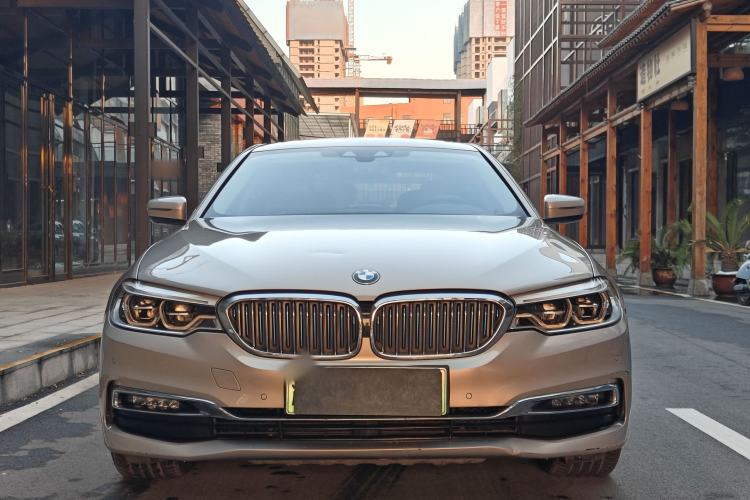 Used BMW 5 Series New Energy 2019 530Le Luxury Package
