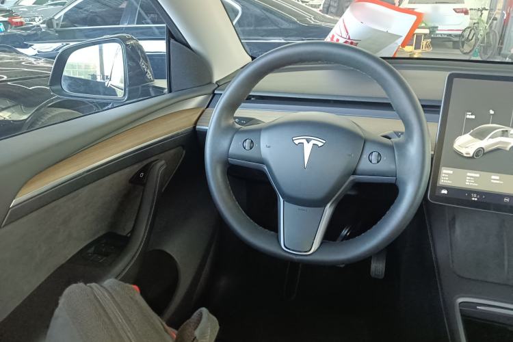 Used Tesla Model Y 2021 Standard Range Rear-Wheel Drive Version
