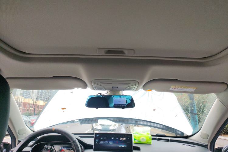 Used Hongqi H5 2020 1.5T DCT Flagship Edition
