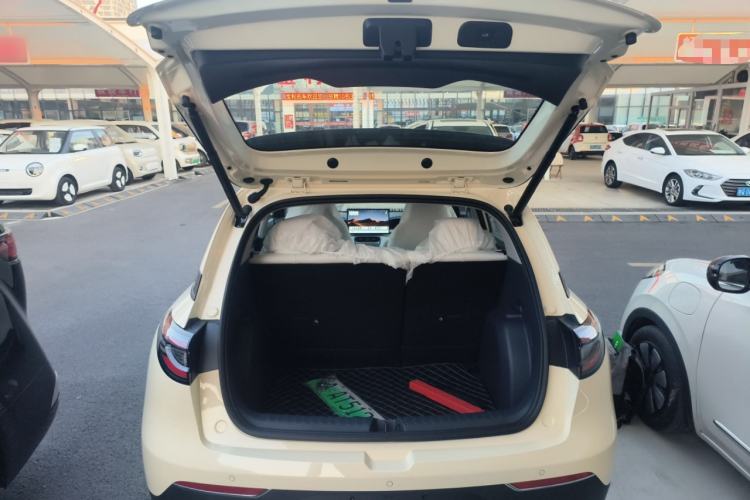 Used  Geome 2025 310km Dream Edition
