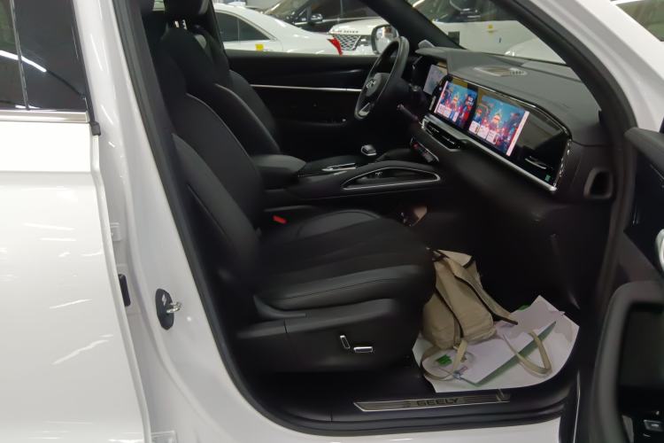 Used Geely Auto Monjaro L 2024 2.0TD High-Power Automatic Two-Wheel Drive Skyline Edition
