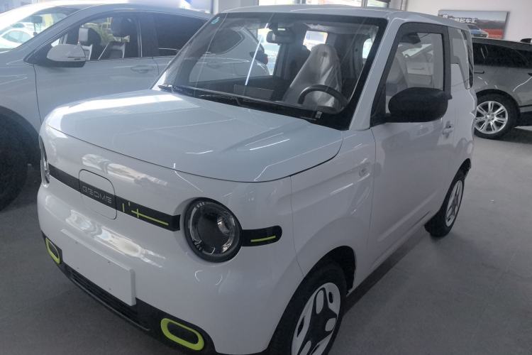 Used  Panda 2025 210 km – Yuanqi Bear
