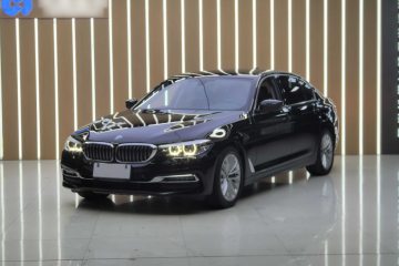 Used BMW 5 Series 2019 530Li Leading Model Luxury Package