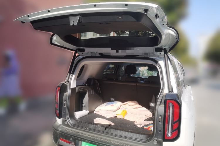 Used  BJ30 2024 1.5T Light Wilderness Pro Edition
