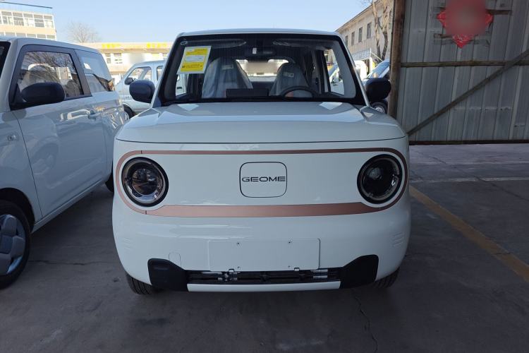 Used  Panda 2024 Panda Mini 200km Endurance Bear