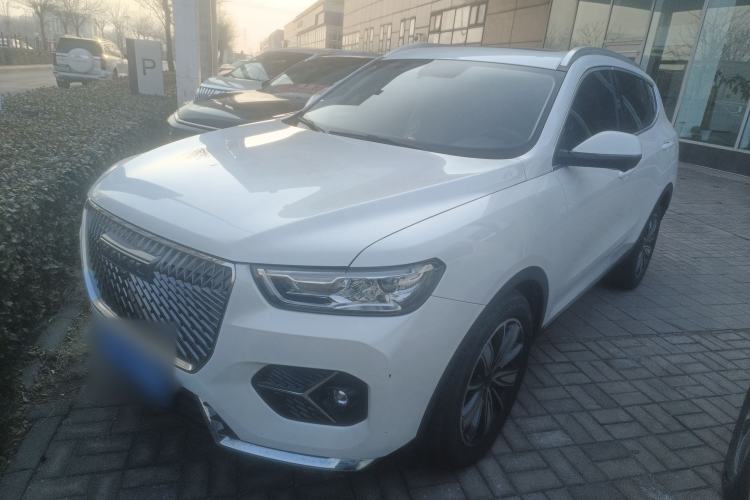 Used Haval H6 2021 1.5T Automatic Champion Edition