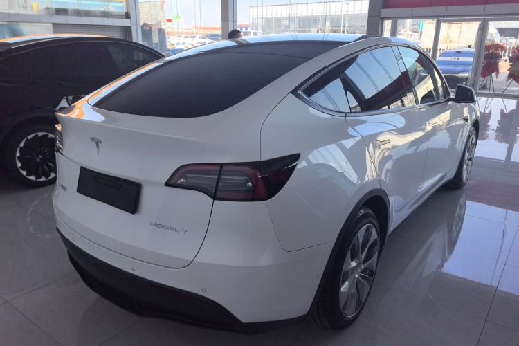 Used Tesla Model Y 2021 Standard Range Rear-Wheel Drive Version
